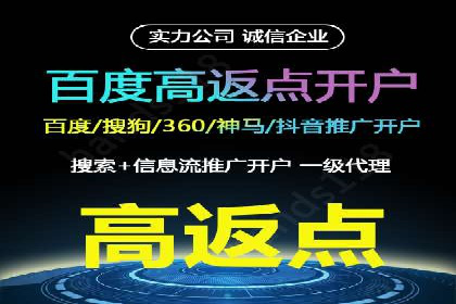 SEM代运营服务公司案例分析：数据驱动营销策略